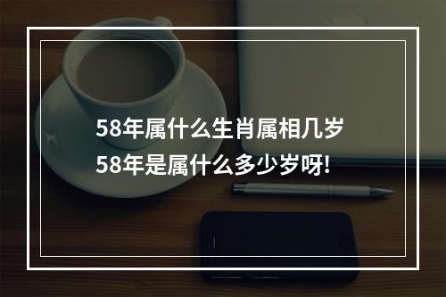 58年属什么生肖属相几岁 58年是属什么多少岁呀!