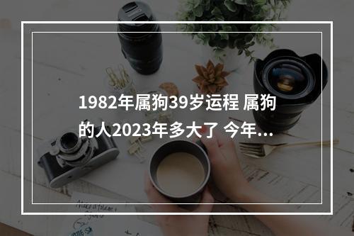 1982年属狗39岁运程 属狗的人2023年多大了 今年肖狗人运势好不好?