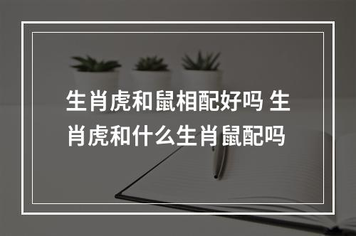 生肖虎和鼠相配好吗 生肖虎和什么生肖鼠配吗