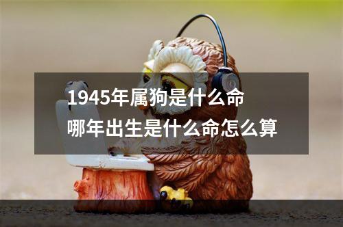1945年属狗是什么命 哪年出生是什么命怎么算