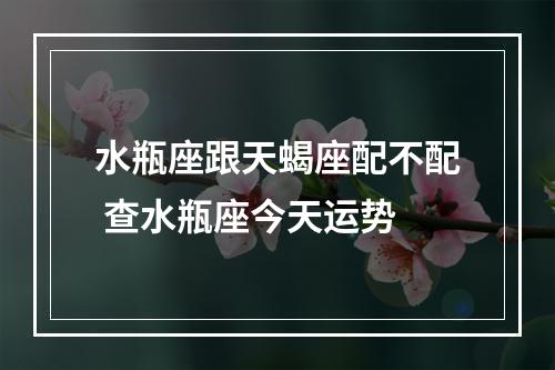 水瓶座跟天蝎座配不配 查水瓶座今天运势