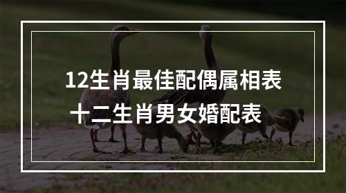 12生肖最佳配偶属相表 十二生肖男女婚配表