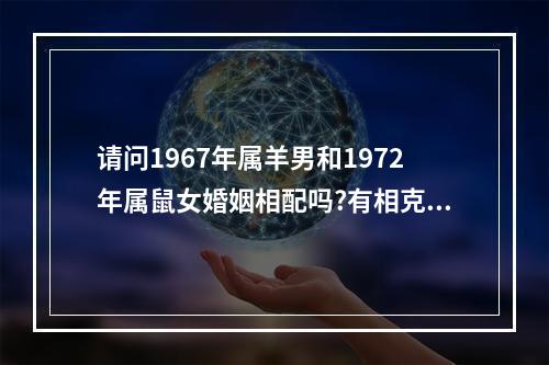 请问1967年属羊男和1972年属鼠女婚姻相配吗?有相克吗?健康会有相克吗... 属羊男与属鼠女婚姻相克吗