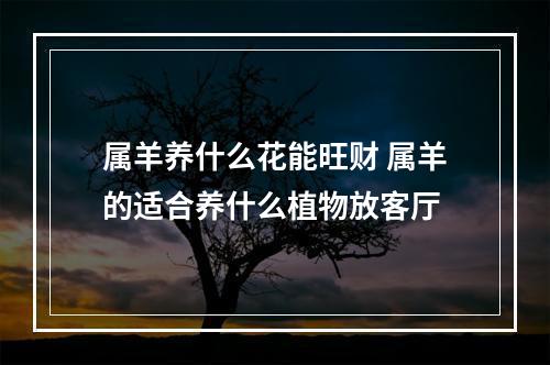 属羊养什么花能旺财 属羊的适合养什么植物放客厅
