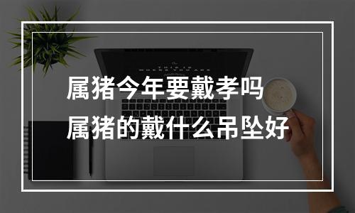 属猪今年要戴孝吗 属猪的戴什么吊坠好