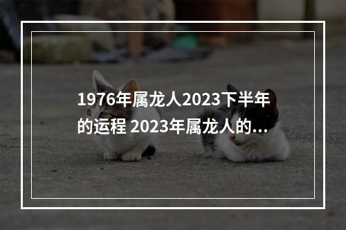 1976年属龙人2023下半年的运程 2023年属龙人的运势?