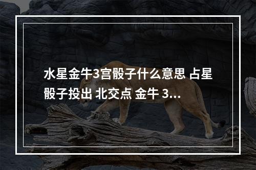 水星金牛3宫骰子什么意思 占星骰子投出 北交点 金牛 3宫,算和某姑娘能否长期得保持并发展关系.可 ...