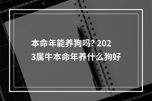 本命年能养狗吗? 2023属牛本命年养什么狗好