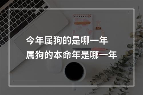 今年属狗的是哪一年 属狗的本命年是哪一年
