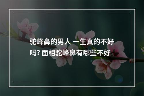 驼峰鼻的男人 一生真的不好吗? 面相驼峰鼻有哪些不好