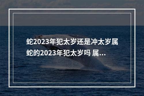 蛇2023年犯太岁还是冲太岁属蛇的2023年犯太岁吗 属蛇人哪年冲太岁