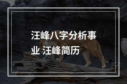 汪峰八字分析事业 汪峰简历