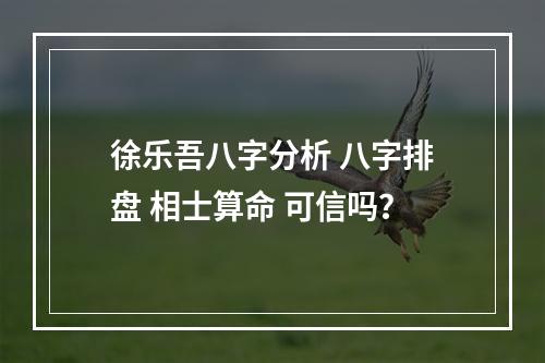徐乐吾八字分析 八字排盘 相士算命 可信吗？