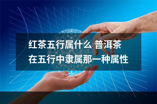 红茶五行属什么 普洱茶在五行中隶属那一种属性