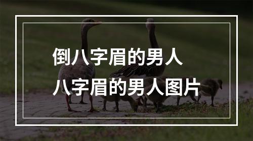 倒八字眉的男人 八字眉的男人图片