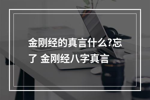 金刚经的真言什么?忘了 金刚经八字真言