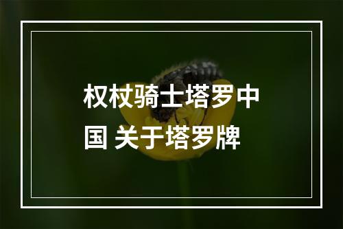权杖骑士塔罗中国 关于塔罗牌
