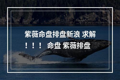 紫薇命盘排盘新浪 求解！！！ 命盘 紫薇排盘
