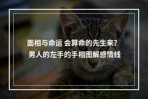 面相与命运 会算命的先生来？ 男人的左手的手相图解感情线