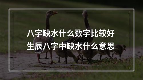 八字缺水什么数字比较好 生辰八字中缺水什么意思