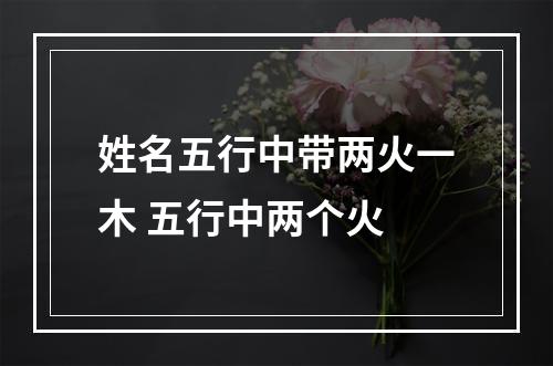 姓名五行中带两火一木 五行中两个火