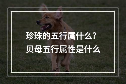 珍珠的五行属什么? 贝母五行属性是什么