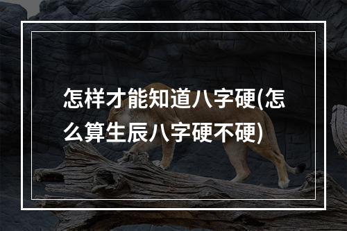 怎样才能知道八字硬(怎么算生辰八字硬不硬)