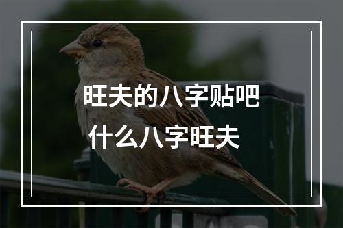 旺夫的八字贴吧 什么八字旺夫