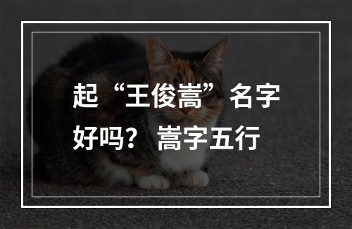 起“王俊嵩”名字好吗？ 嵩字五行