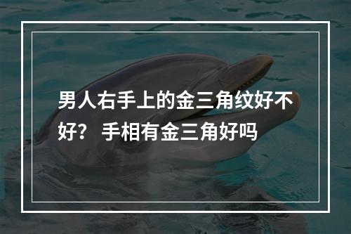 男人右手上的金三角纹好不好？ 手相有金三角好吗
