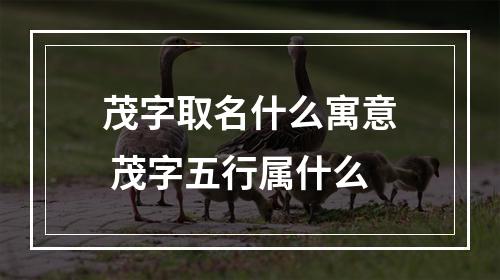 茂字取名什么寓意 茂字五行属什么