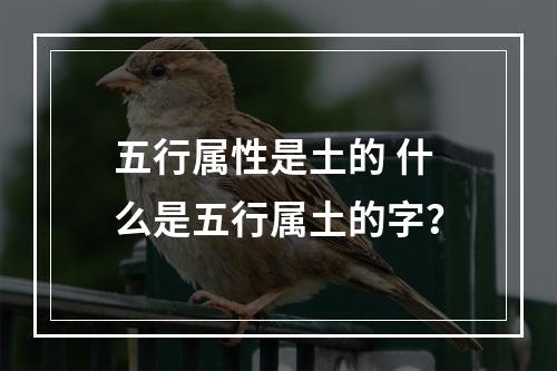 五行属性是土的 什么是五行属土的字？