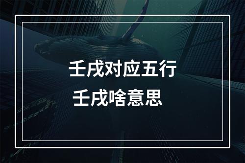 壬戌对应五行 壬戌啥意思