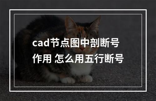 cad节点图中剖断号作用 怎么用五行断号