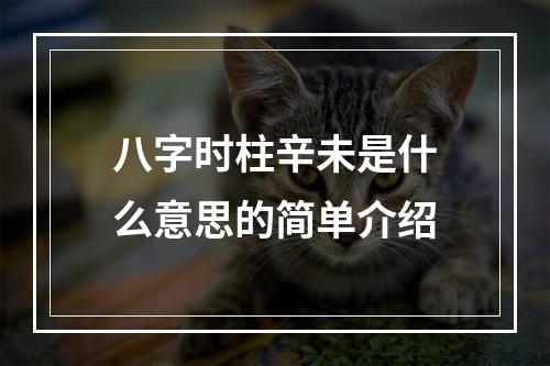 八字时柱辛未是什么意思的简单介绍