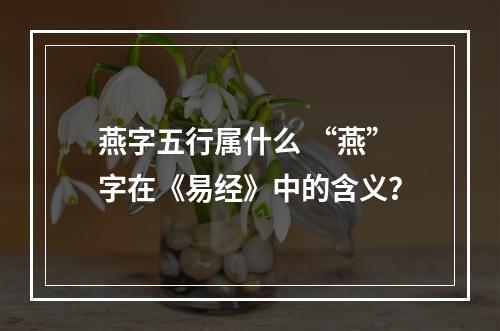 燕字五行属什么 “燕”字在《易经》中的含义？