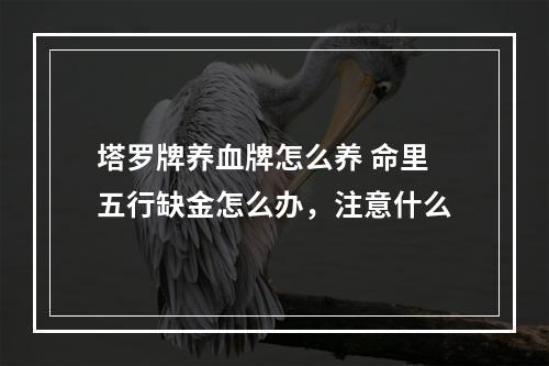 塔罗牌养血牌怎么养 命里五行缺金怎么办，注意什么