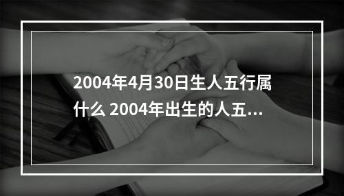 2004年4月30日生人五行属什么 2004年出生的人五行属什么命