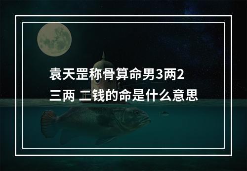 袁天罡称骨算命男3两2 三两 二钱的命是什么意思