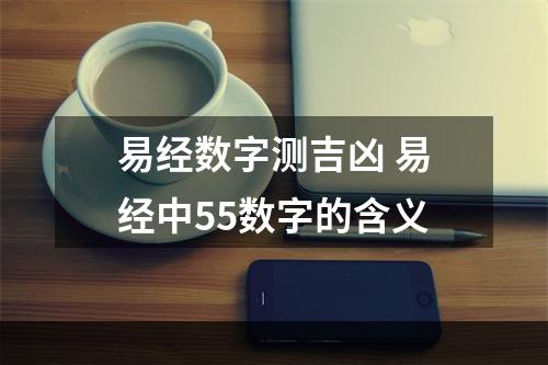 易经数字测吉凶 易经中55数字的含义