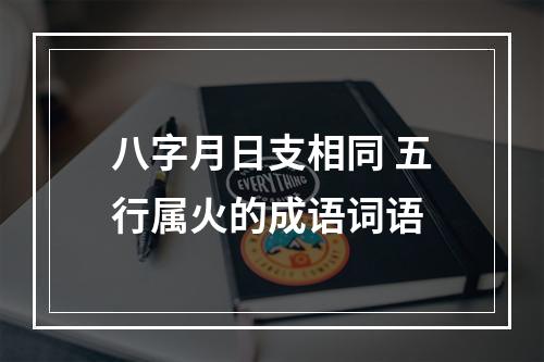八字月日支相同 五行属火的成语词语