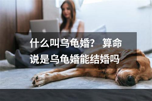 什么叫乌龟婚？ 算命说是乌龟婚能结婚吗
