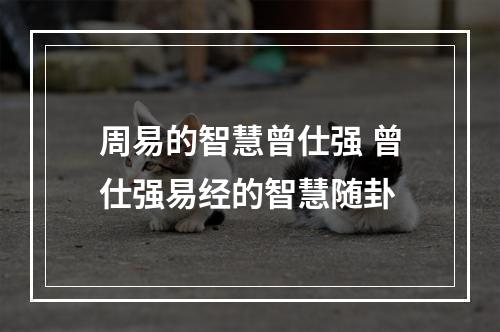 周易的智慧曾仕强 曾仕强易经的智慧随卦