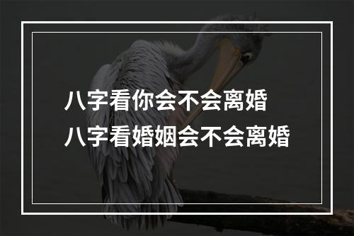 八字看你会不会离婚 八字看婚姻会不会离婚