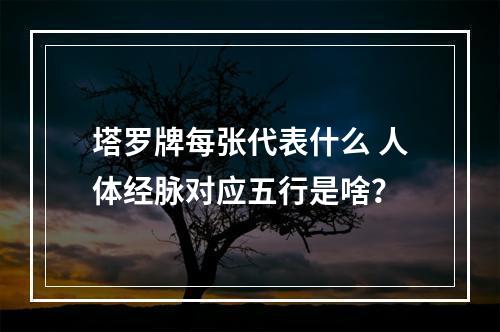 塔罗牌每张代表什么 人体经脉对应五行是啥？