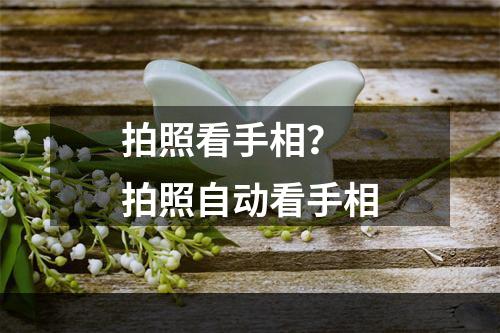 拍照看手相？ 拍照自动看手相
