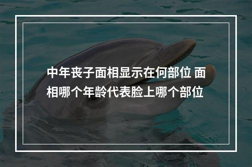 中年丧子面相显示在何部位 面相哪个年龄代表脸上哪个部位