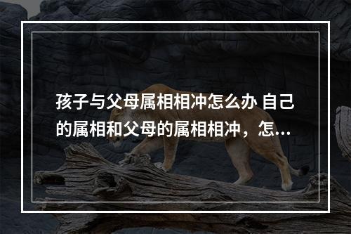 孩子与父母属相相冲怎么办 自己的属相和父母的属相相冲，怎么办