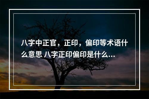 八字中正官，正印，偏印等术语什么意思 八字正印偏印是什么意思