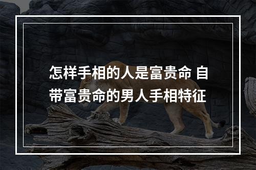 怎样手相的人是富贵命 自带富贵命的男人手相特征